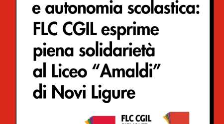 Gaza e autonomia scolastica: dalla FLC piena solidarietà al Liceo “Amaldi”